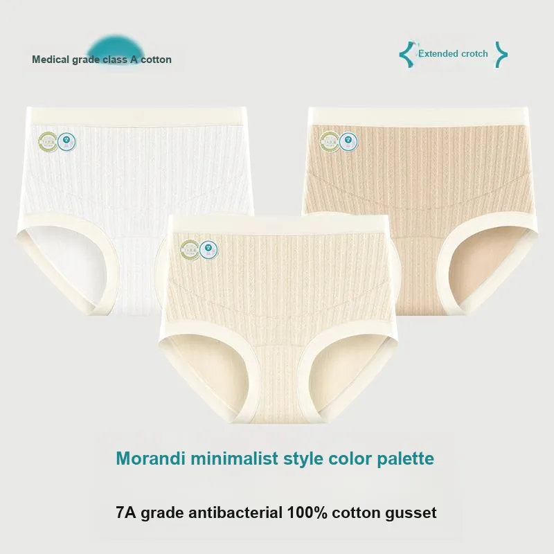 Master Underpants Women's 2 Pack-7