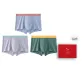 Ice Blue-Light Gray-Gray Green