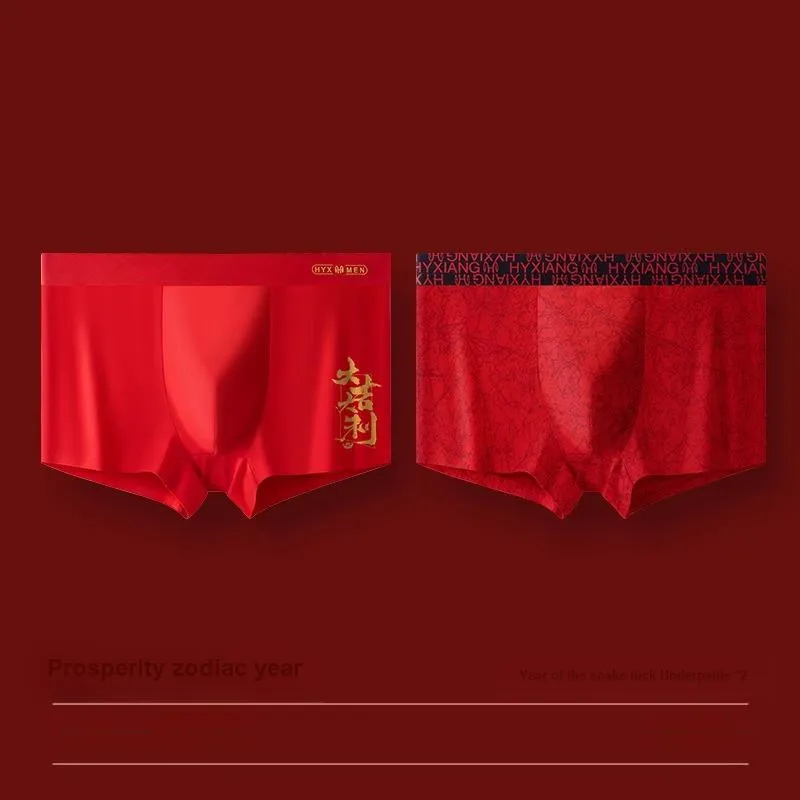 H YXIANG Underpants Men's 2 Pack-11