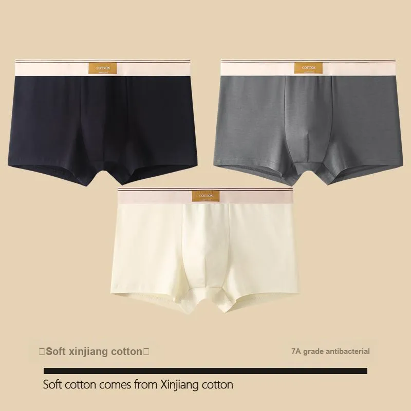 GOSO Underpants Men's Combo Set-2