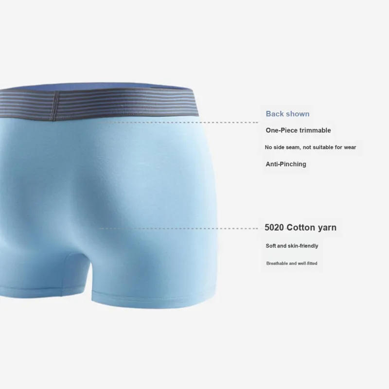 Lee Men Underpants-2