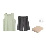 그린 (선물 박스 포함)