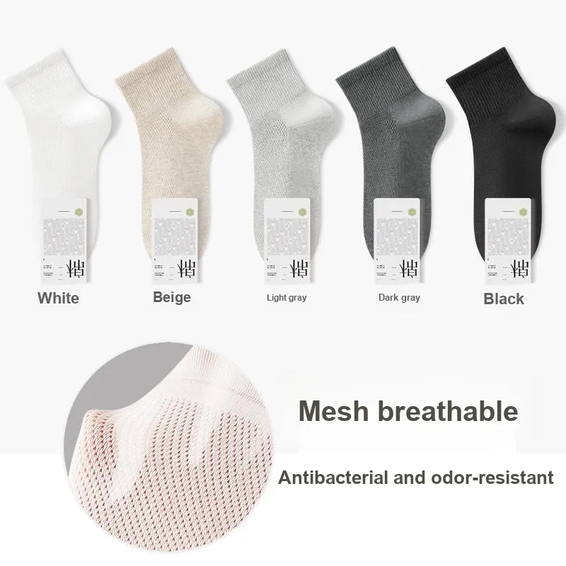B&C.Room Mid Calf Socks Men's 5 Pack-11