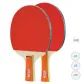 [Entry-Level Entertainment]Shakehand Grip and Penhold Grip 2 Pcs+3 Pcs Ball