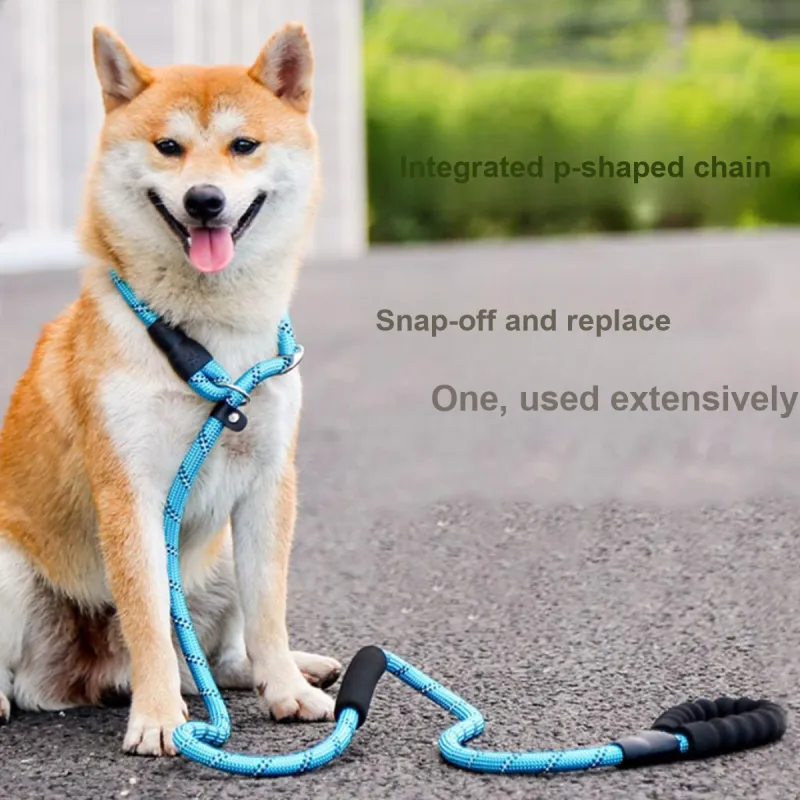 Kimpets Leashes-2