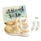 Light Yellow+Gift Box+Gift Socks