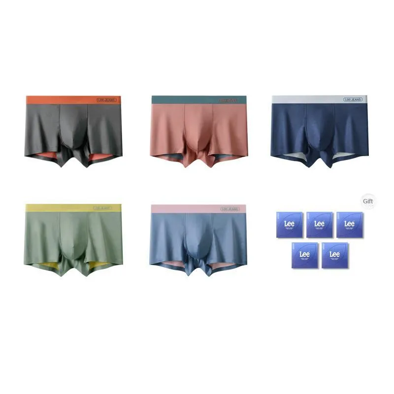 Lee Underwear Gift Box Men's 5 Pack-3