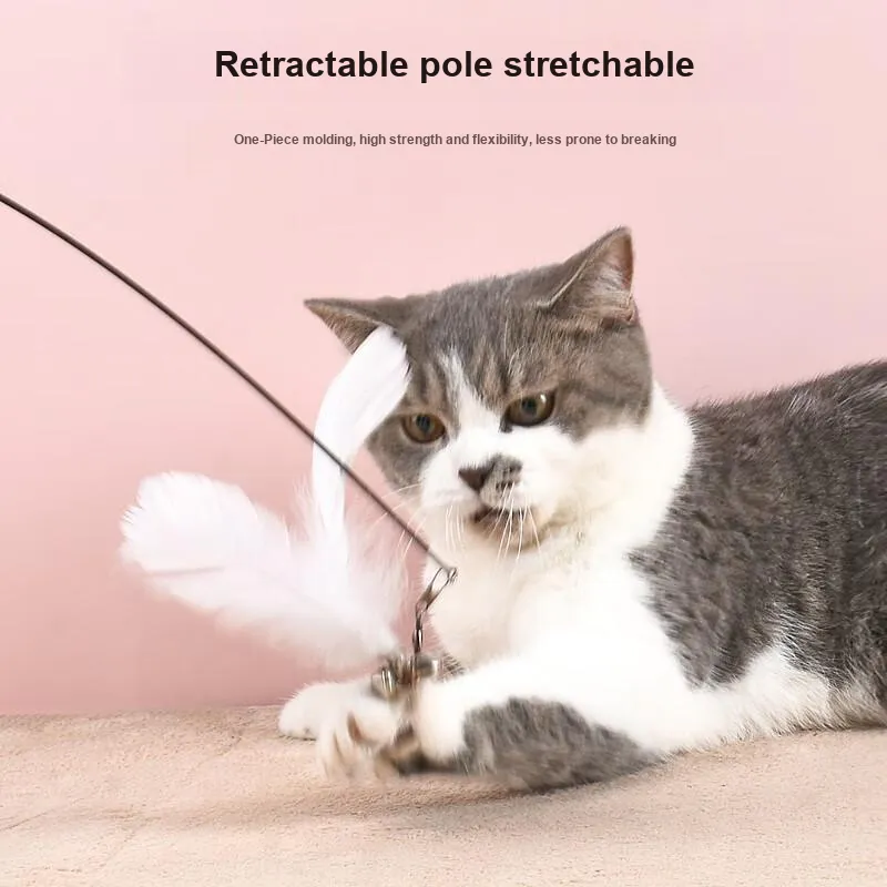 Gasco Pet Toys-1