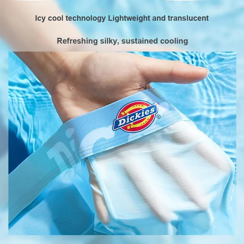 Dickies Underpants Men's Box 3 Pack-2