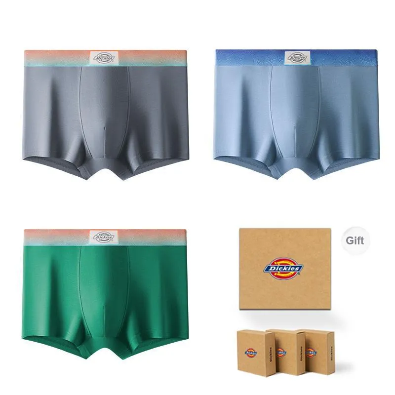 Dickies Underpants Men's Gift Box Combination-48