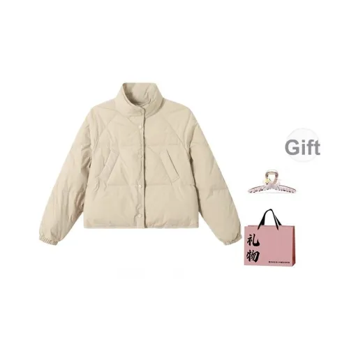 BAIDAIFEI Хлопковый пуховик женский