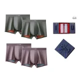 100S Lenzing Modal[Fuchsia+Fuchsia+Burnt Tea Brown+Burnt Tea Brown]Gift Box Set