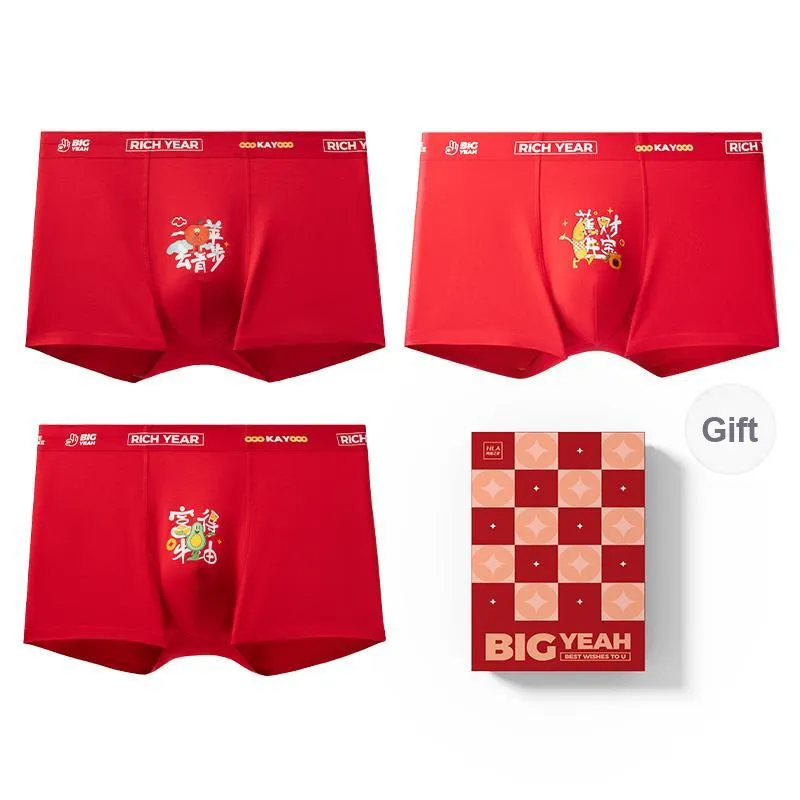 HLA Men Boxer Shorts-6