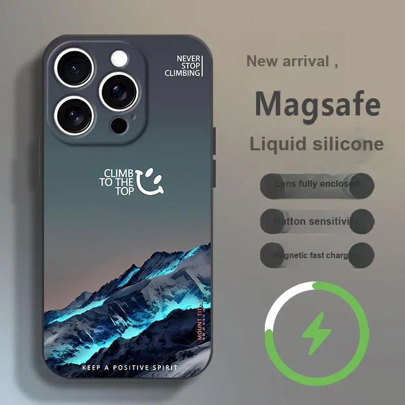Baochengbao Phone Cases-1