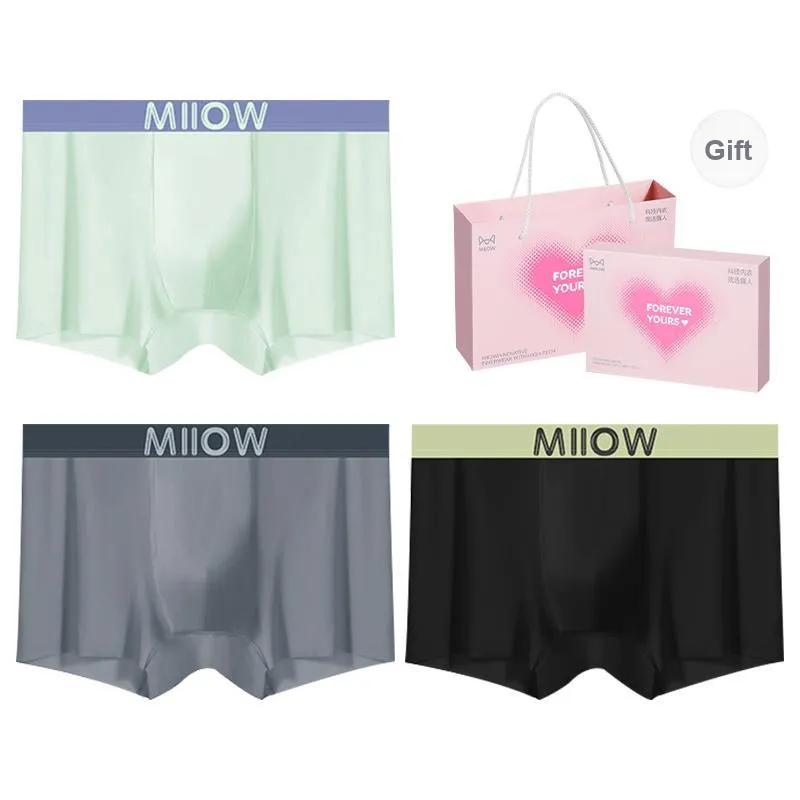 MIIOW Underpants Men's Box 3 Pack-10
