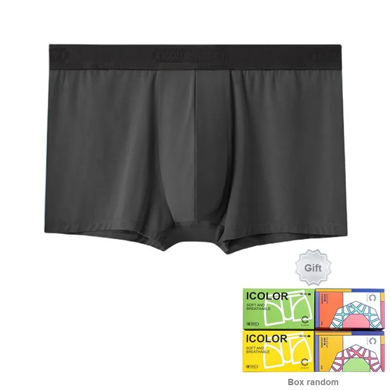 Icolor Men Underpants-1