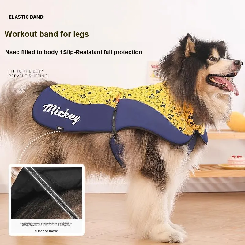 Disney Pet Clothing-3