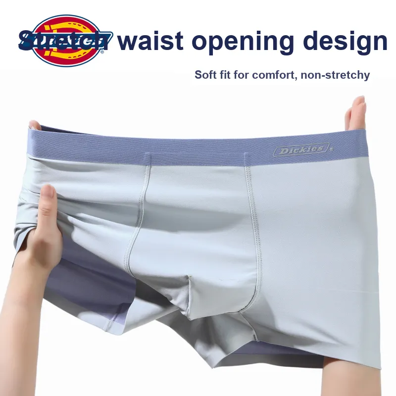 Dickies Underpants Men's Box 3 Pack-18