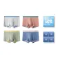 Box 4 Pack (Clear Moon Gray Blue+Mars Brown Green+Jupiter Yellow Green+Uranus Blue Pink)