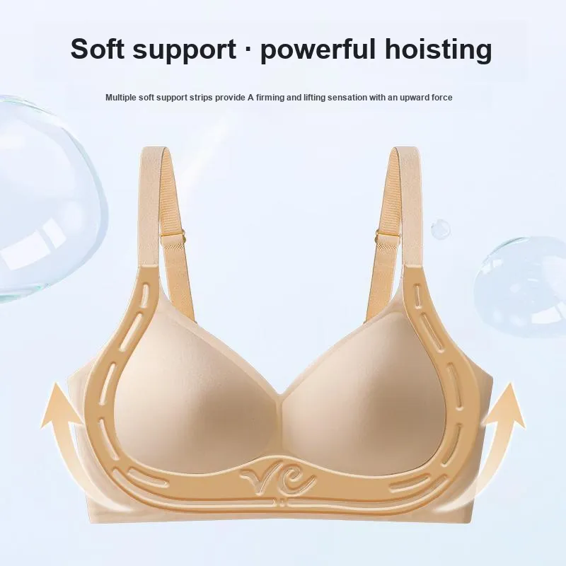 Caramella Women's Bras-5