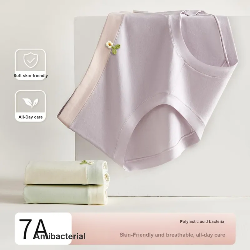 Ordifen Underpants Women's 3 Pack-3