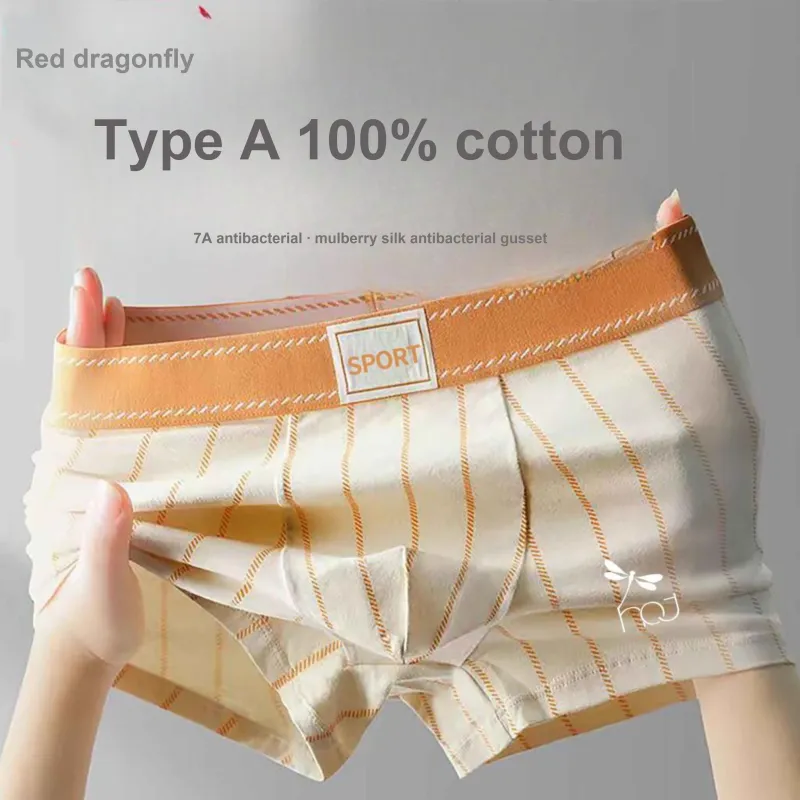 RED DRAGONFLY Cotton Panties Men's 3 Pack Gift Box Set-4
