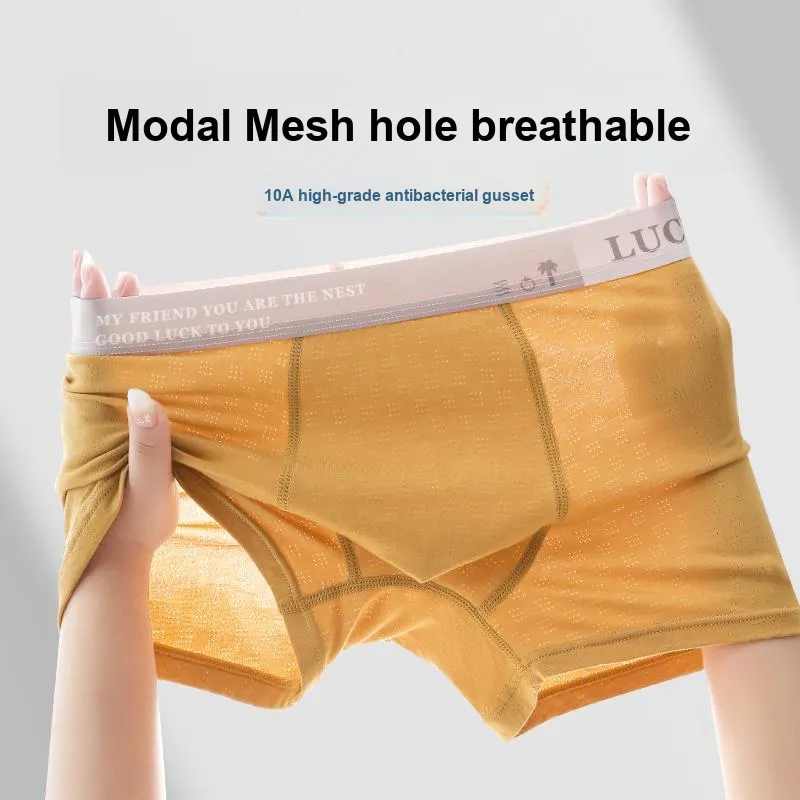 Herbal Primer Underpants Men's 4 Pack-5