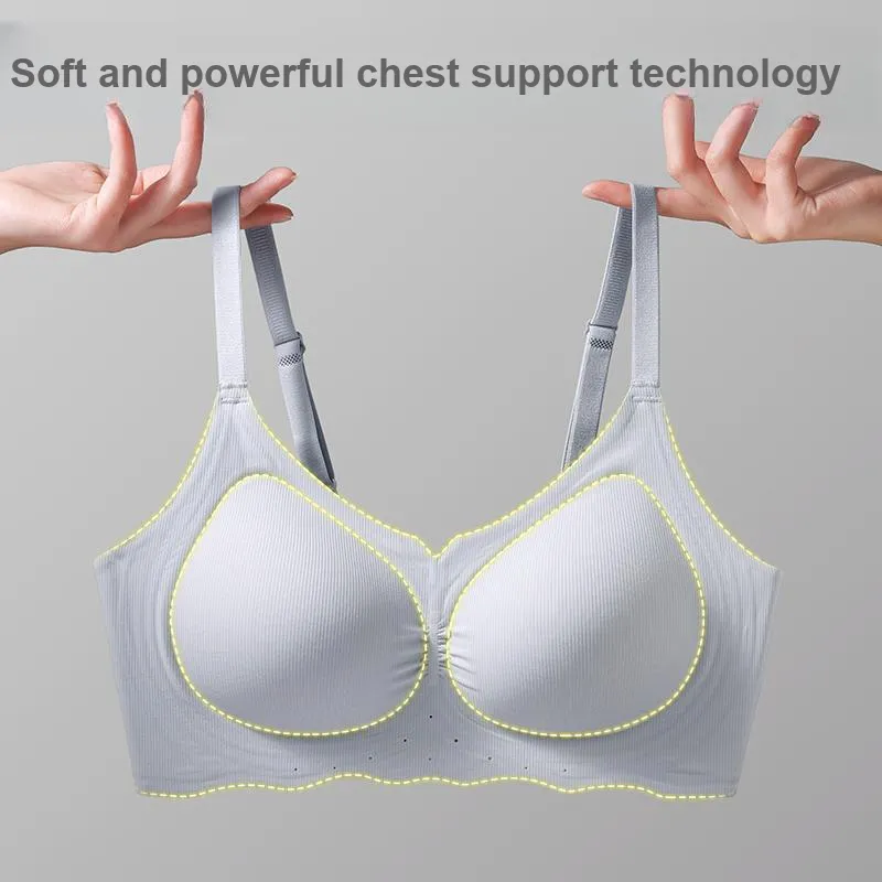 GRACEWELL Bra Women's Combo Set-3