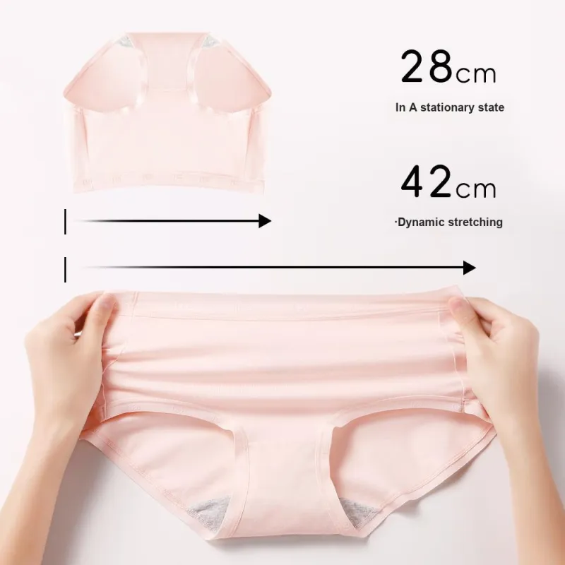 Lee Underwear Gift Boxes Women's 5 Pack-12