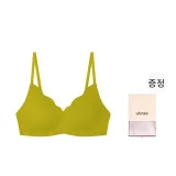 그린 플럼 와인 색상
