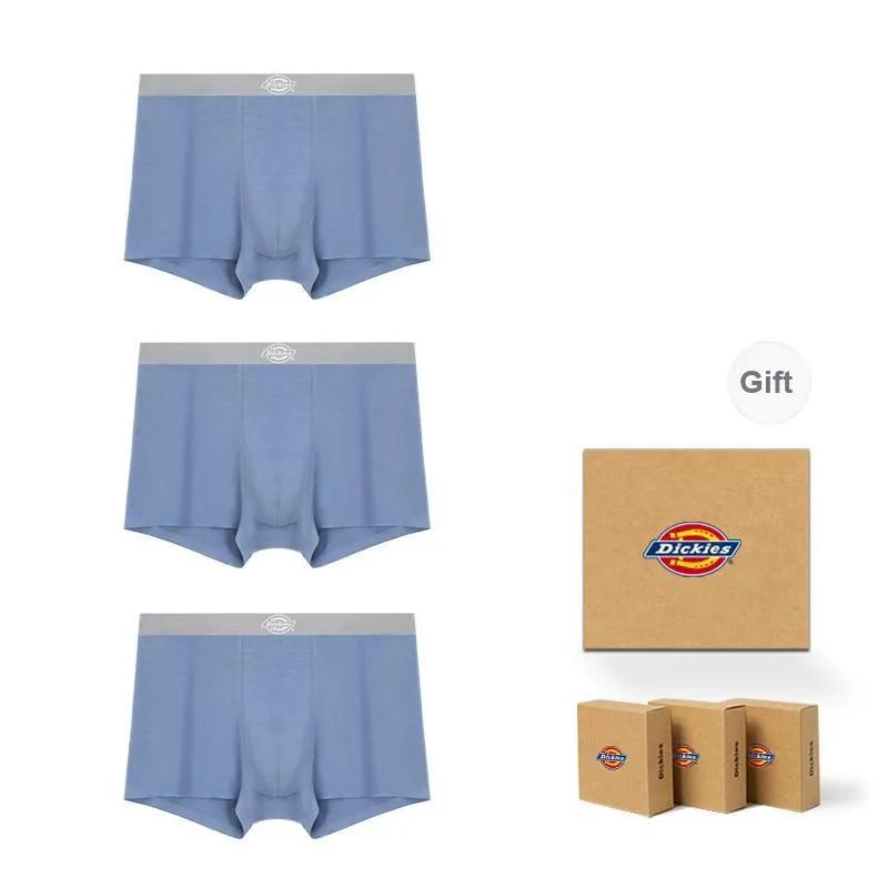 Dickies Underpants Men's Box 3 Pack-15