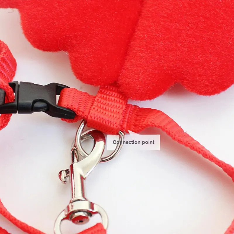 Kimpets Leashes-3