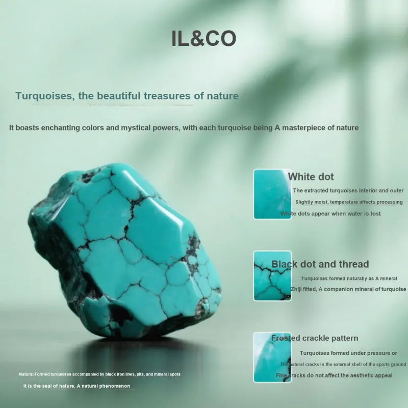IL&CO. Turquoise Stud Earrings Women's-6