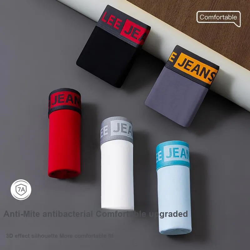 Lee Sunset 1.0 Underwear Gift Boxes Men's 1 Pack-21