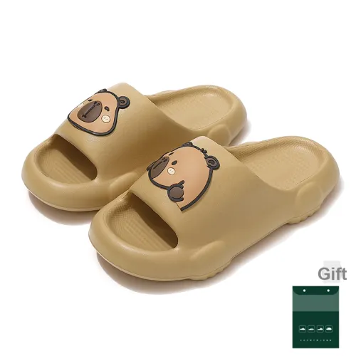 Cat power Slippers / Home Slippers