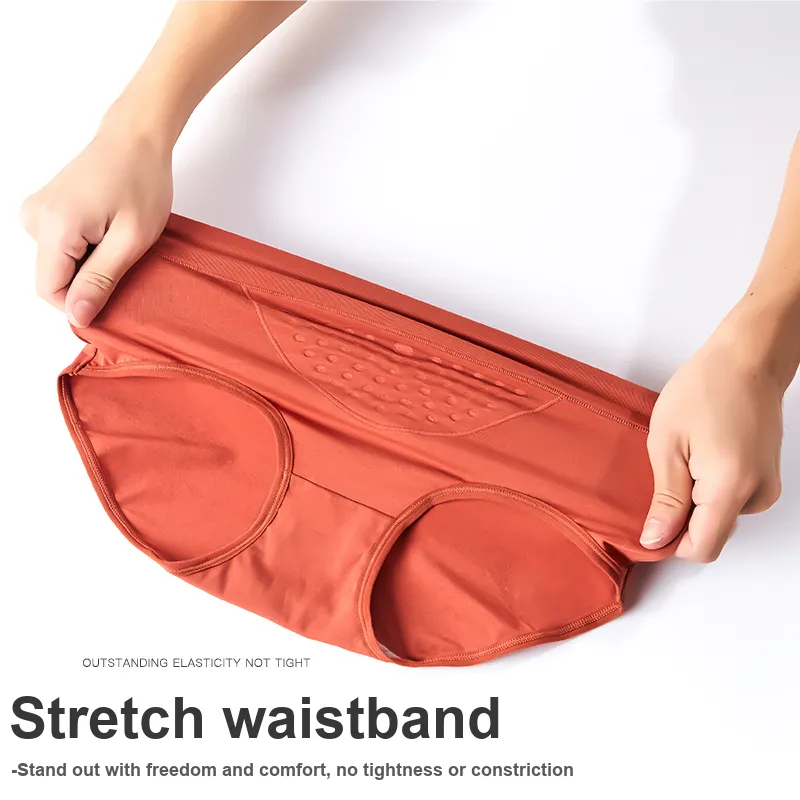 Montagut Underpants Women's 3 Pack-5