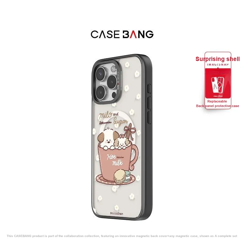 CASEBANG Phone Cases-13