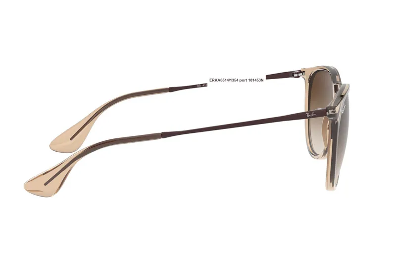 RayBan Erika Sunglasses-2
