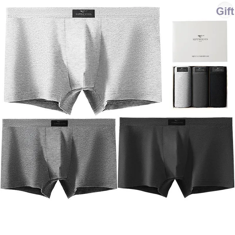 SEPTWOLVES Underwear Gift Box Men's-5