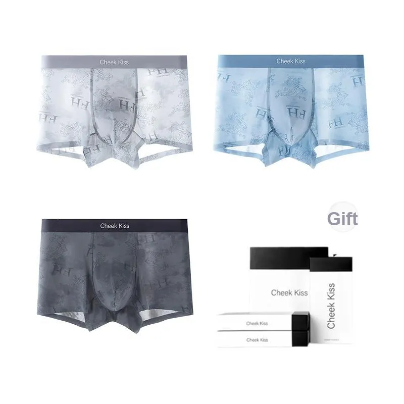 Cheekkiss Underpants Men's Box 4 Pack-21