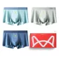 Light Blue/Light Gray/Gray Blue