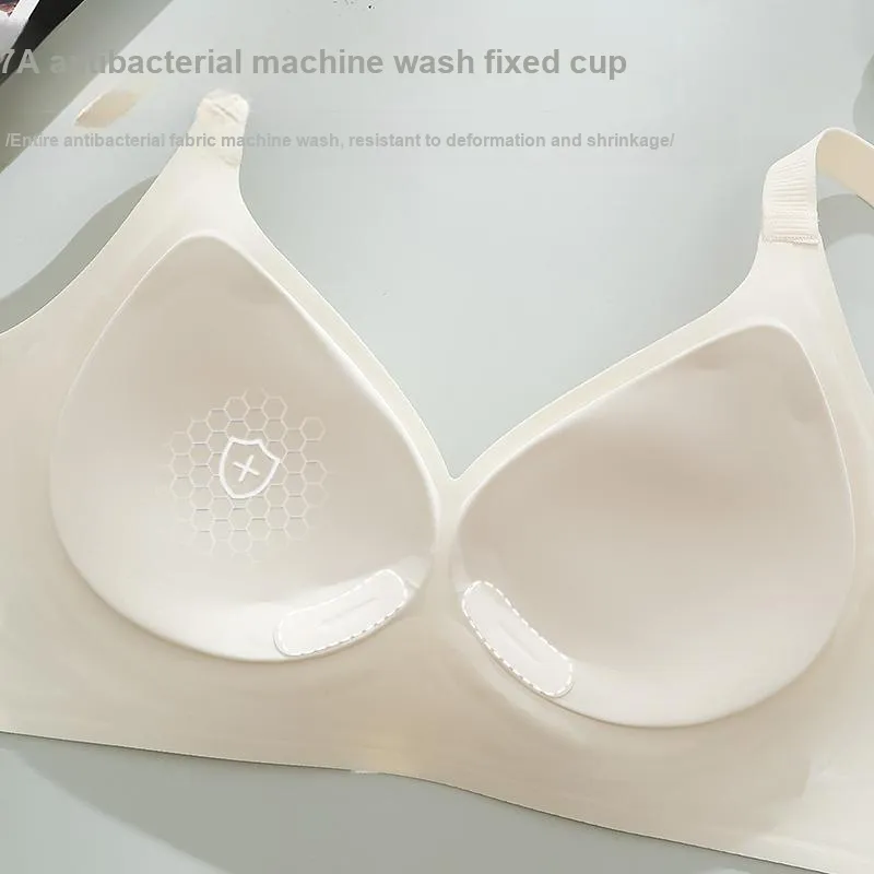 Caramella Women's Bras-17