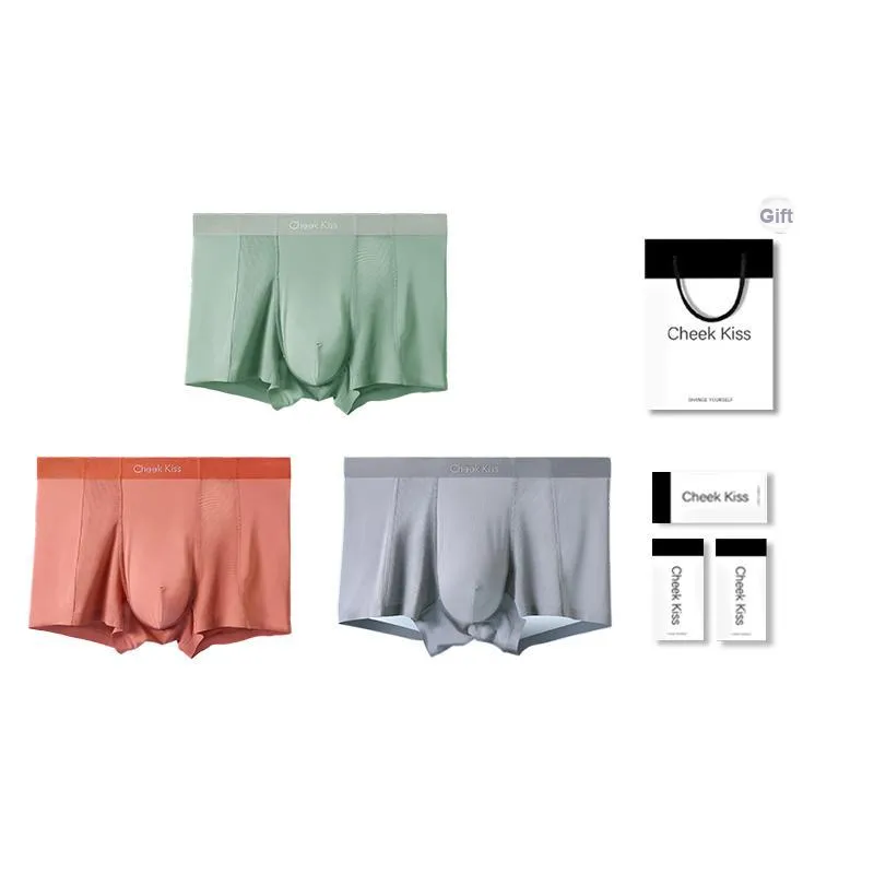 Cheekkiss Underwear Gift Box Men's 4 Pack-20