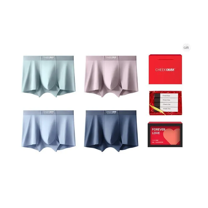 Cheekkiss Underwear Gift Box Men's Box 4 Pack-5