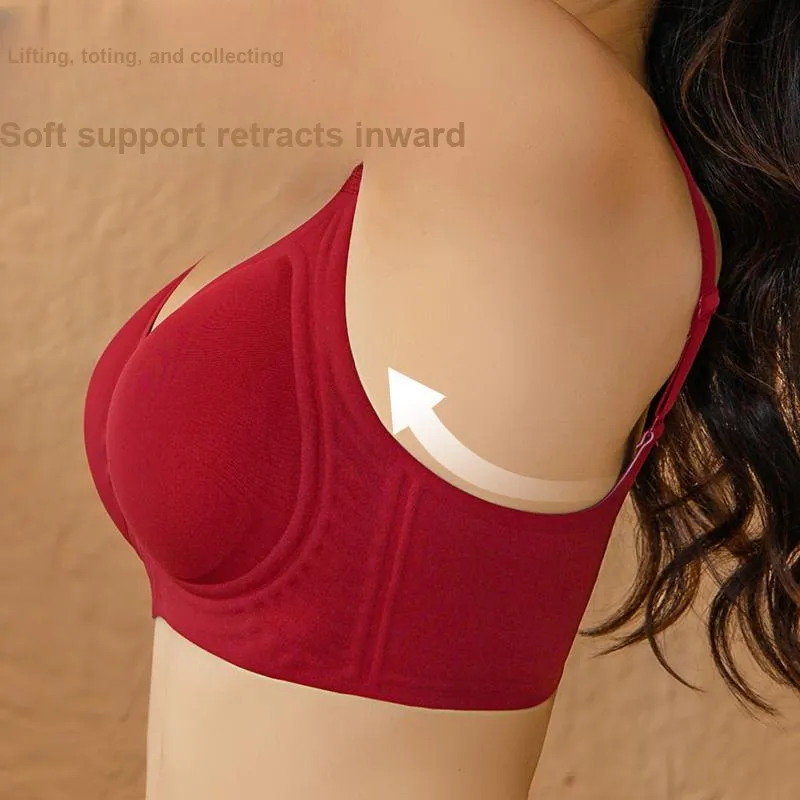 Caramella Women's Bras-7