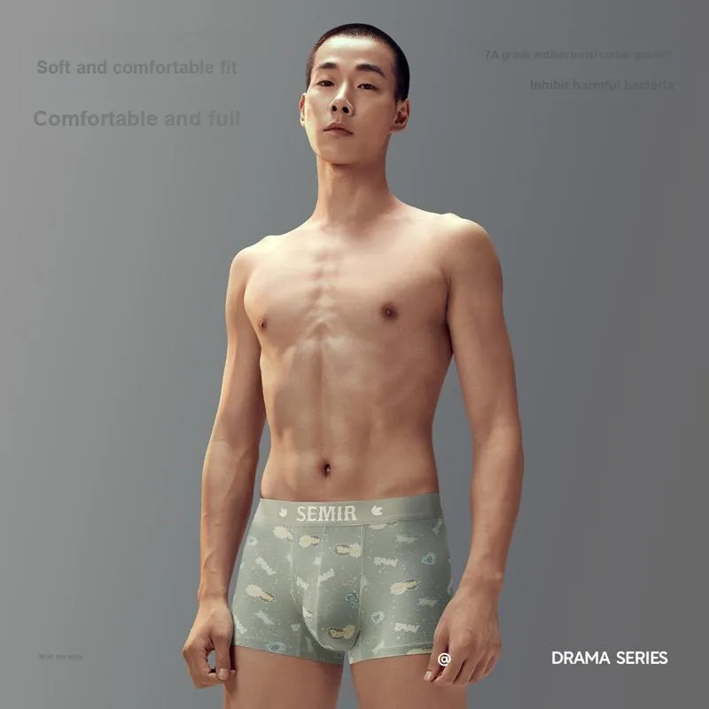SEM/R Underpants Men's 3 Pack Sparrow-3