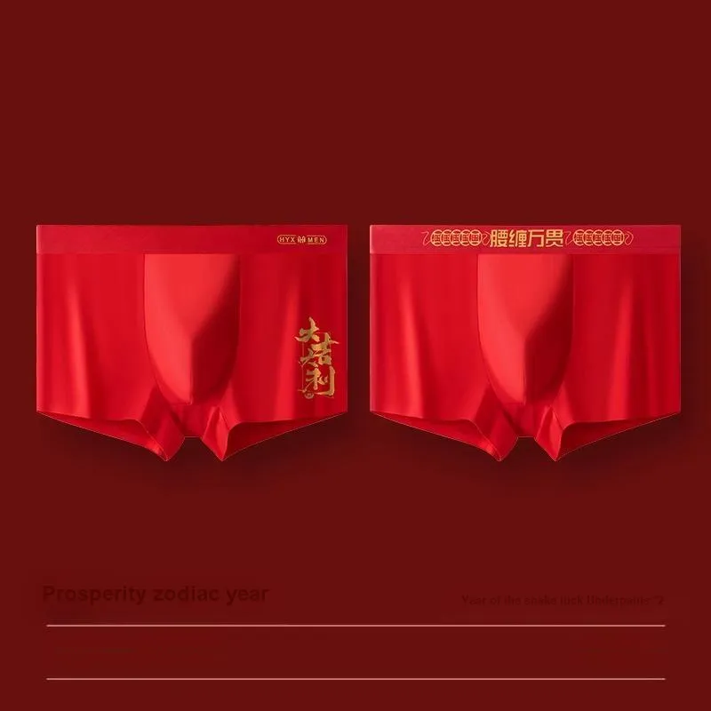 H YXIANG Underpants Men's 2 Pack-9