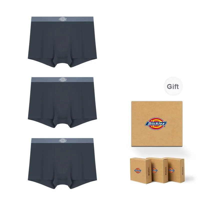 Dickies Underpants Men's Box 3 Pack-20