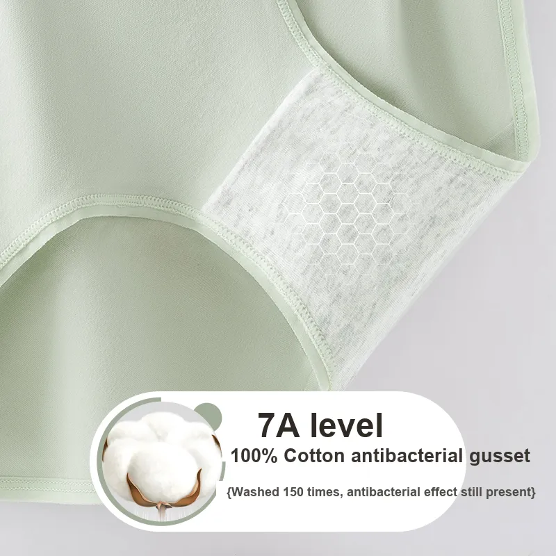 GRACEWELL Underpants Women's 4 Pack-4