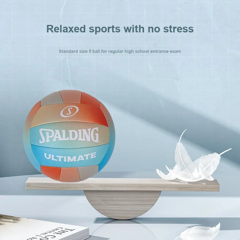 SPALDING Competition Balls Volleyball-4